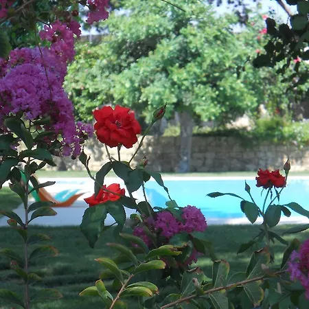Il Giardino Dei Carrubi Donnalucata (Sicily)