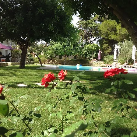 Il Giardino Dei Carrubi *