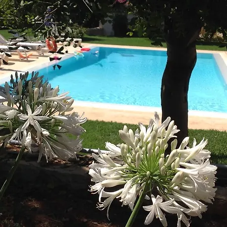 Dom wakacyjny Il Giardino Dei Carrubi